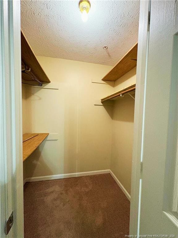 Building Photo - 978 Stewarts Creek Dr