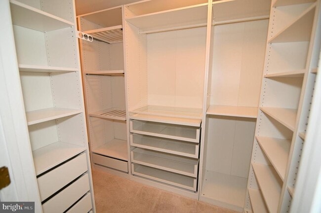 Building Photo - 4502 Rockdale Ln