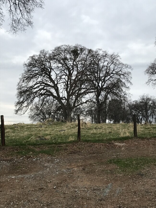Building Photo - Vineyard Living!  Amazing Hillside Views! ...