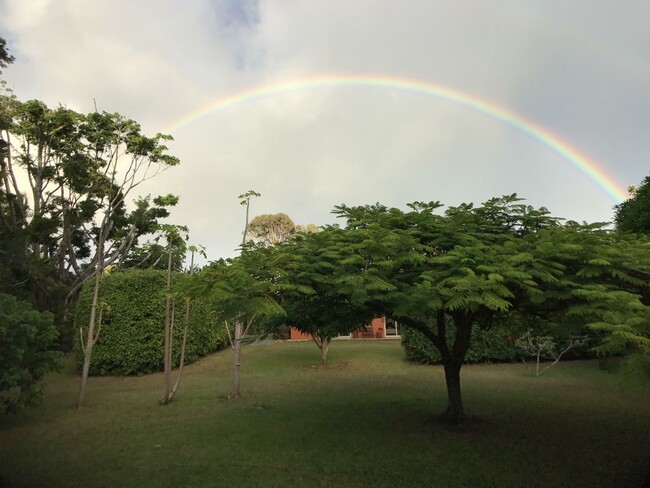 Building Photo - A Modernist Tropical Haven on Maui’s North...