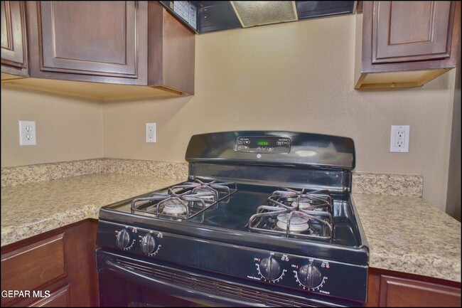 Building Photo - 1037 Callisto Ct