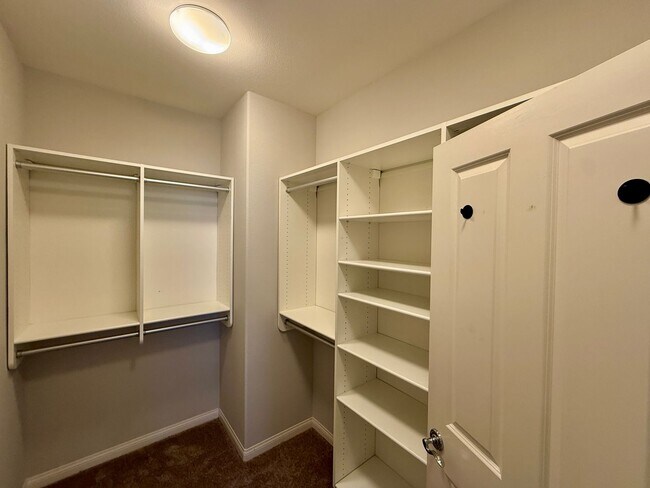 Building Photo - Gorgeous Home in Pacific Highland Ranch Co...