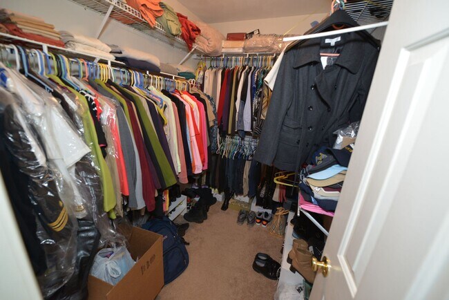 Building Photo - Quiet Cul-de -sac