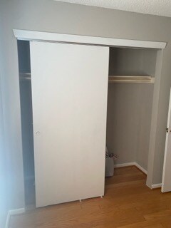 New closet - 1012 Ravens Crest Dr