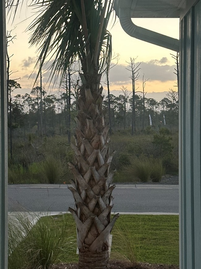 Building Photo - 248 Sea Grv Wy