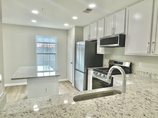 brand new granite countertops, appliances, and fixtures - 12430 Horseshoe Bend Cir