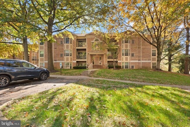 Building Photo - 203 Star Pointe Ct