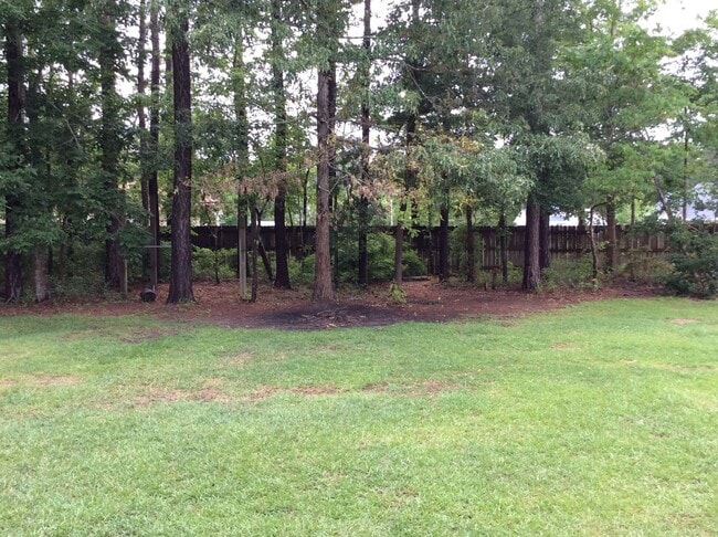 Building Photo - Single Family Home in Cherry Branch
