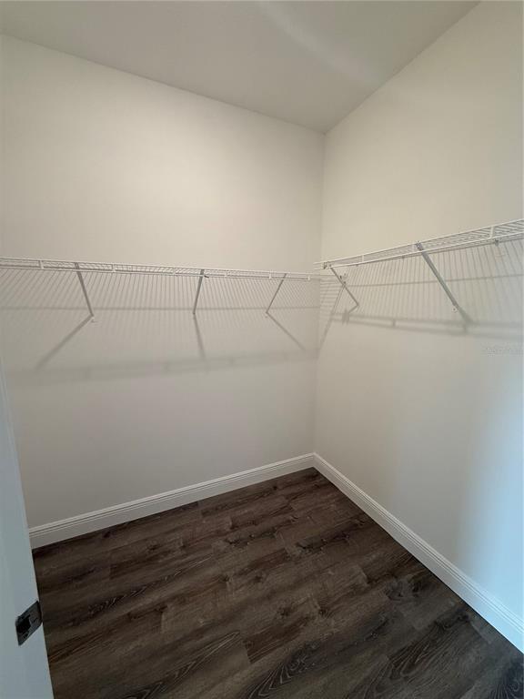 Building Photo - 485 Disa Dr