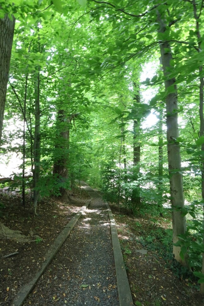 Building Photo - COMING SOON - 4Bed/2.5Bath Raised Rambler in Bannockburn near Glen Echo Park!