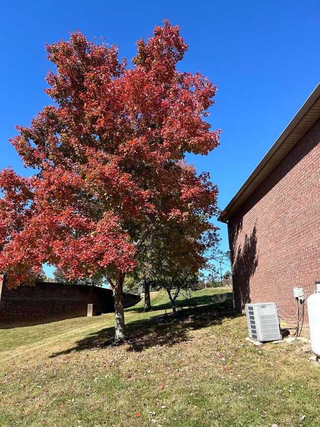 Building Photo - 409 Lawson Dr