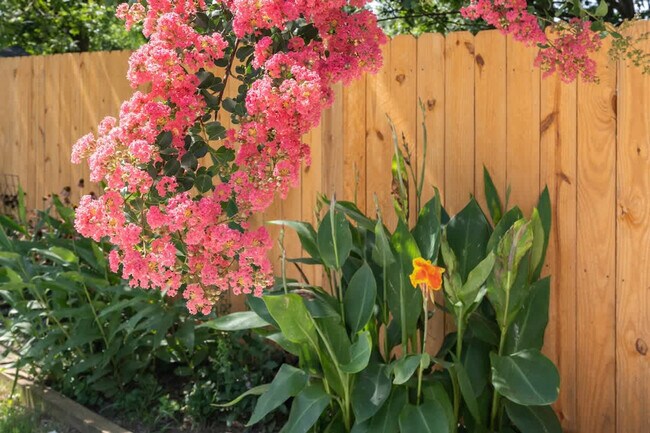 Building Photo - 509 Dabbs St