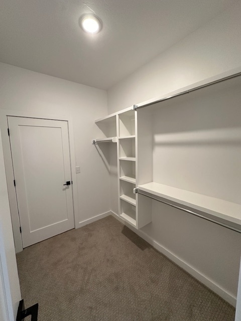Building Photo - 916 Pedalers Ln
