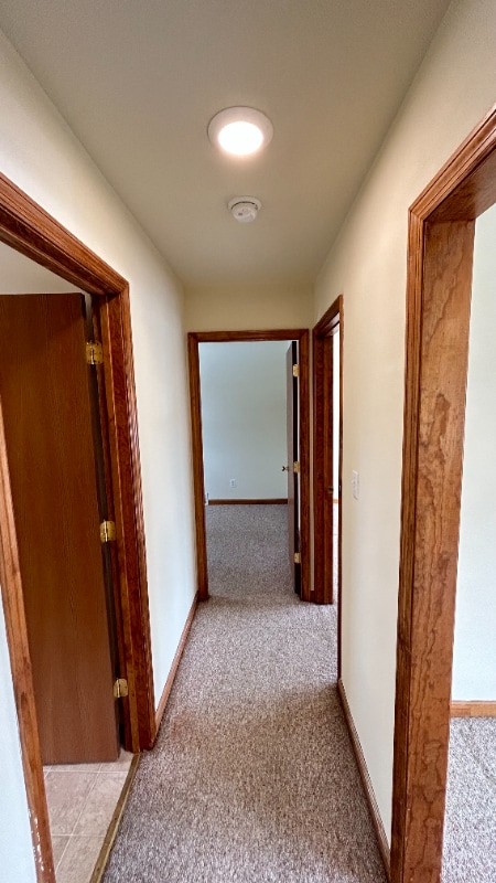 Building Photo - 1052 Community Rd