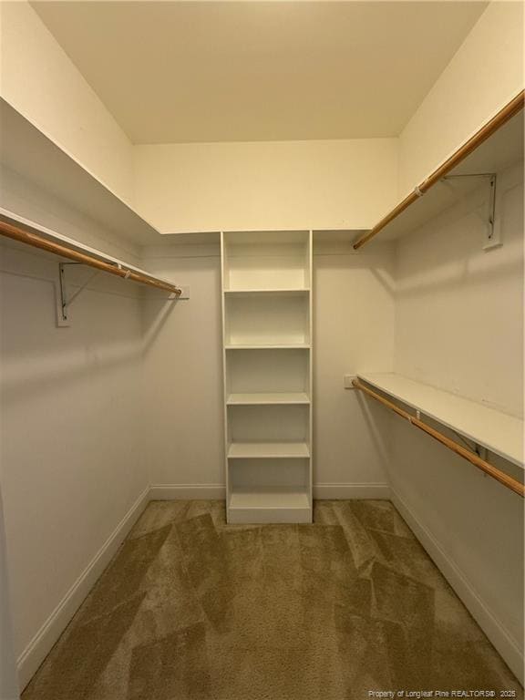 Building Photo - 55 Tanawha Ct