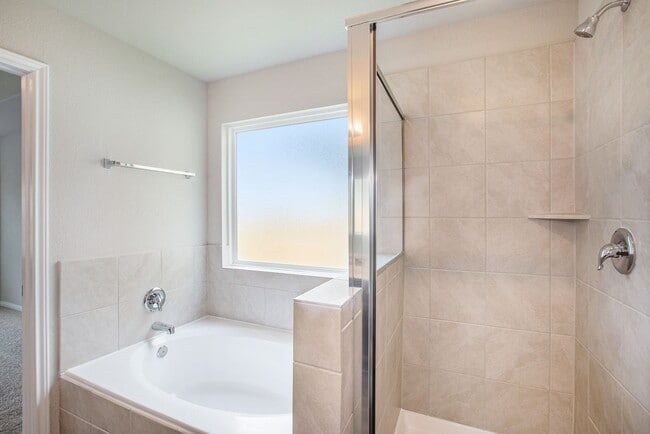 Building Photo - 3319 Rosselli Brush Dr