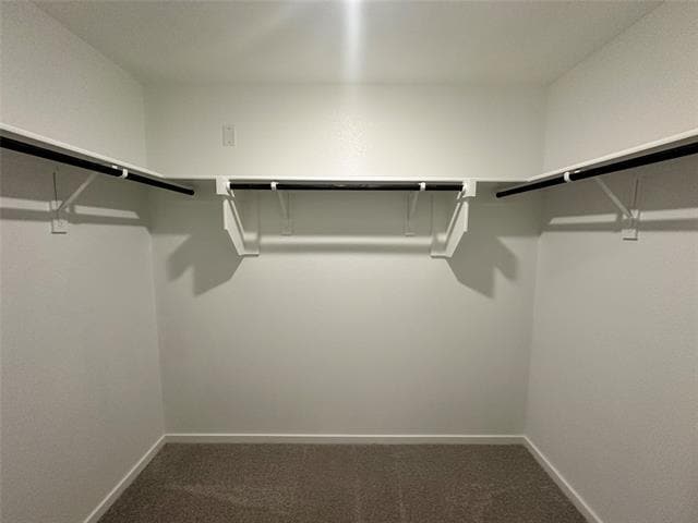 Building Photo - 237 Boxberry Wy