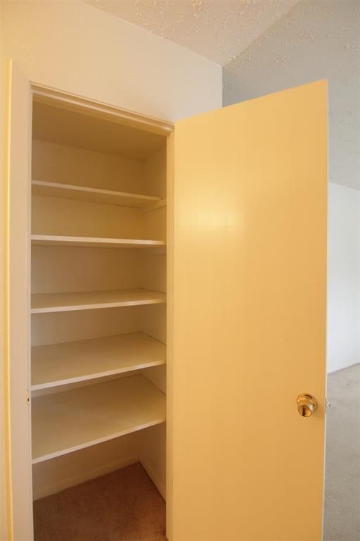 Building Photo - 10555 Turtlewood Ct