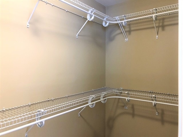 Building Photo - 8824 Shadowglen Dr