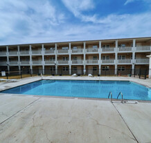 Pool - Jaguar Plaza Apartments