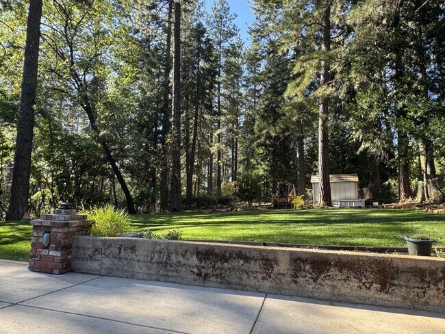 Building Photo - 10546 Silver Way