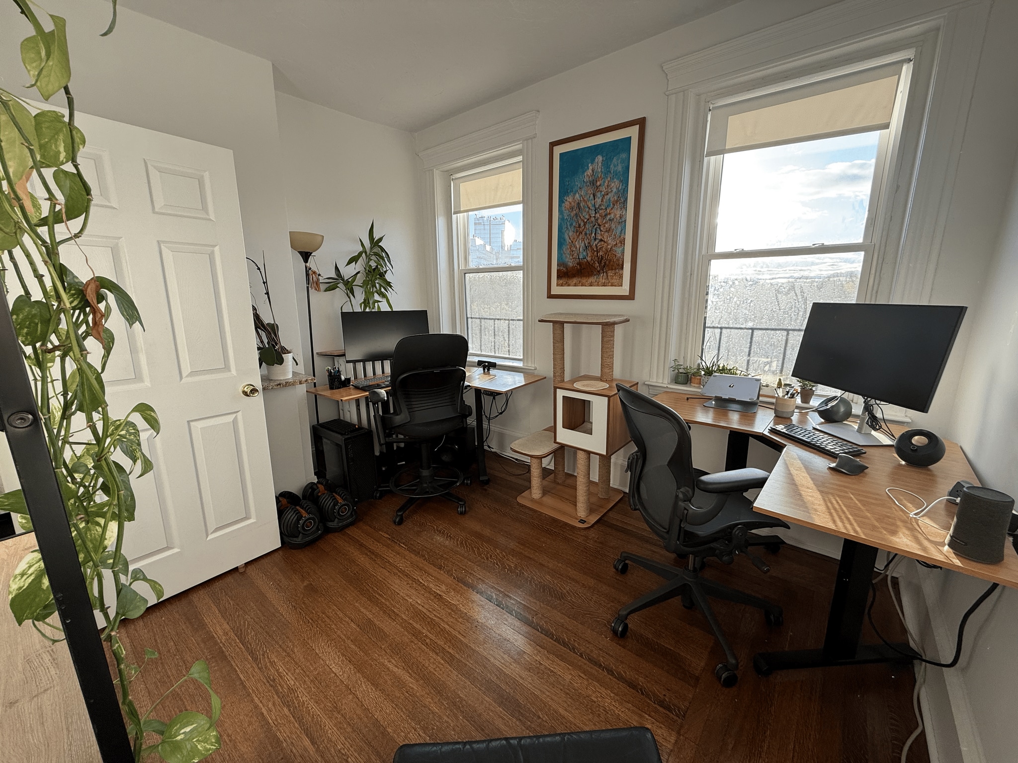 Secondary Bedroom/Office - 137 Peterborough Street