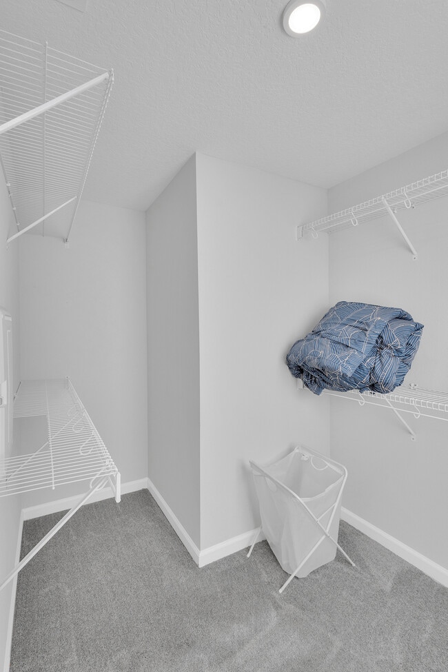 Building Photo - Saint Cloud - Multi Unit