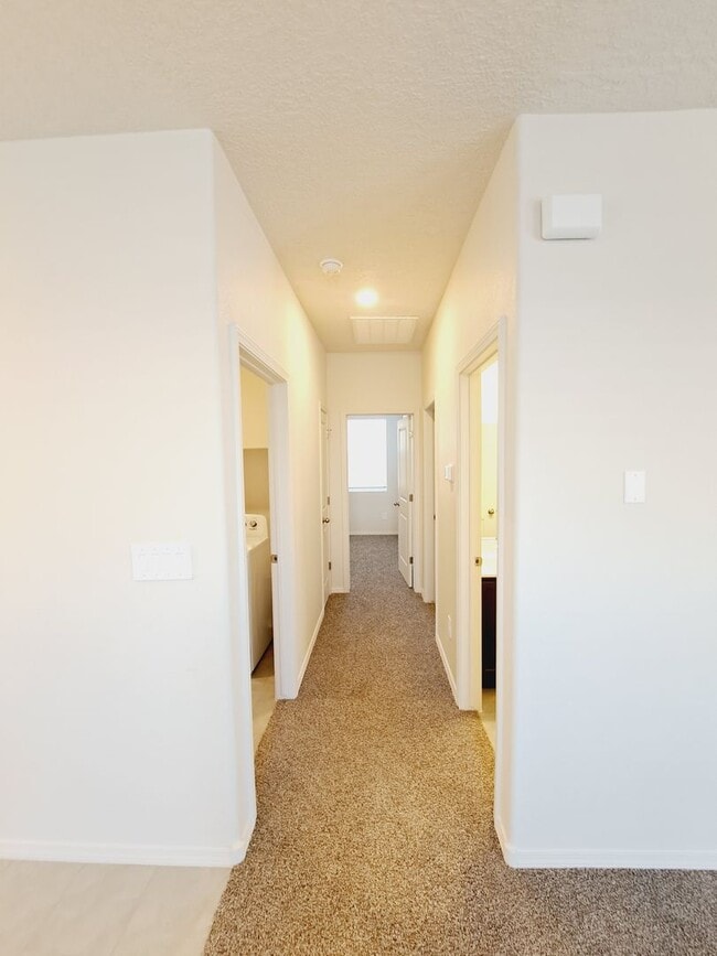 Building Photo - 3 bed 2 bath home in Huning Ranch!