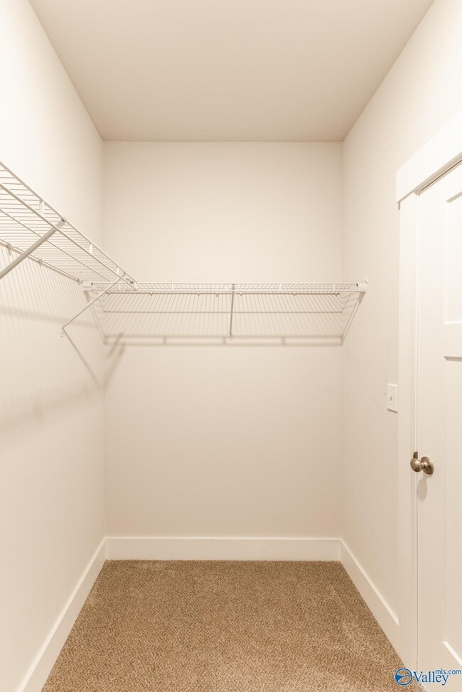 Building Photo - 125 Caspian Ln