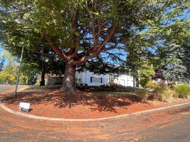 Building Photo - Mini Mansion in Salmon creek in mature nei...
