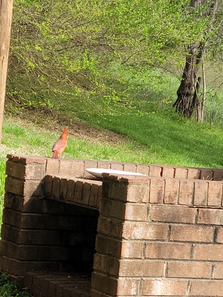 Building Photo - 885 Rural Hall-Germanton Rd