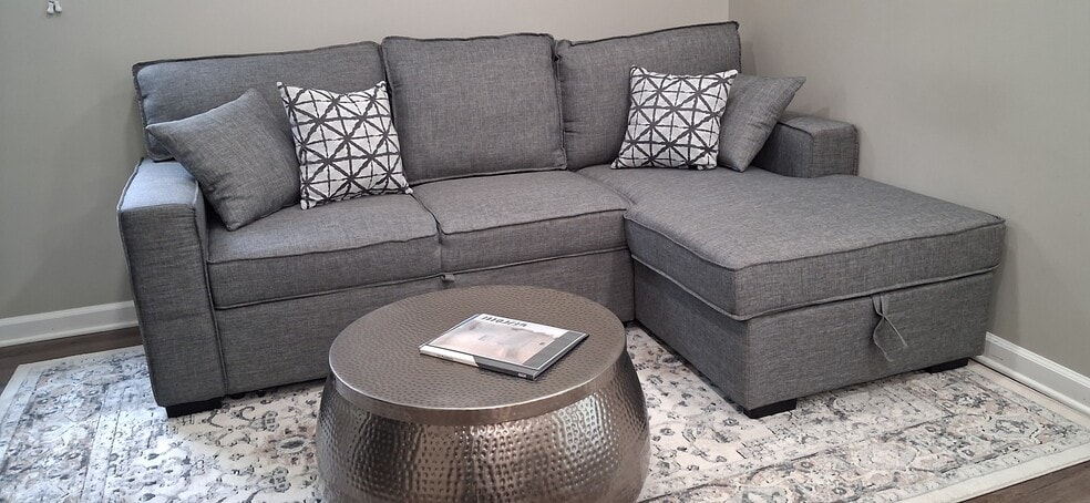 New Sofa with Storage & Sleeper - 750 N Genesee Ave