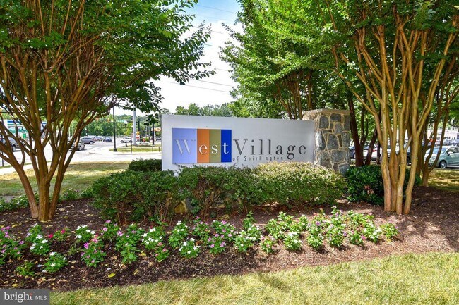 Building Photo - 4063 S Four Mile Run Dr