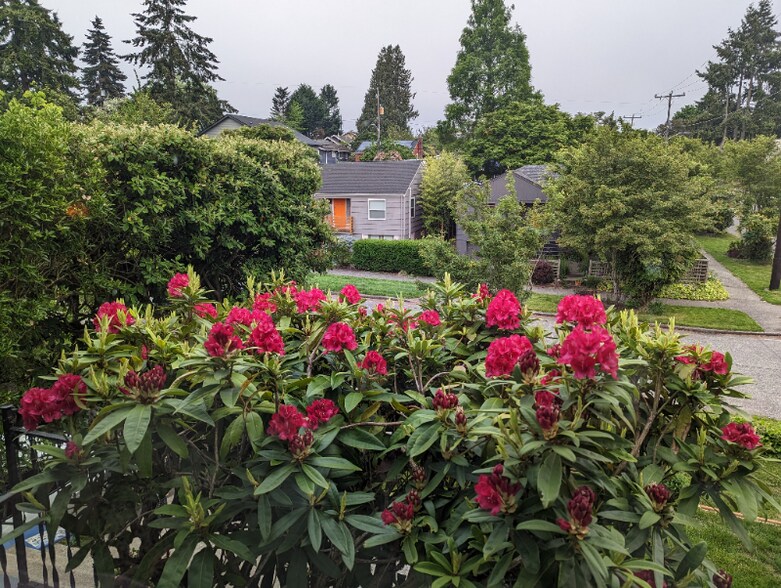 Building Photo - 6002 37th Ave SW