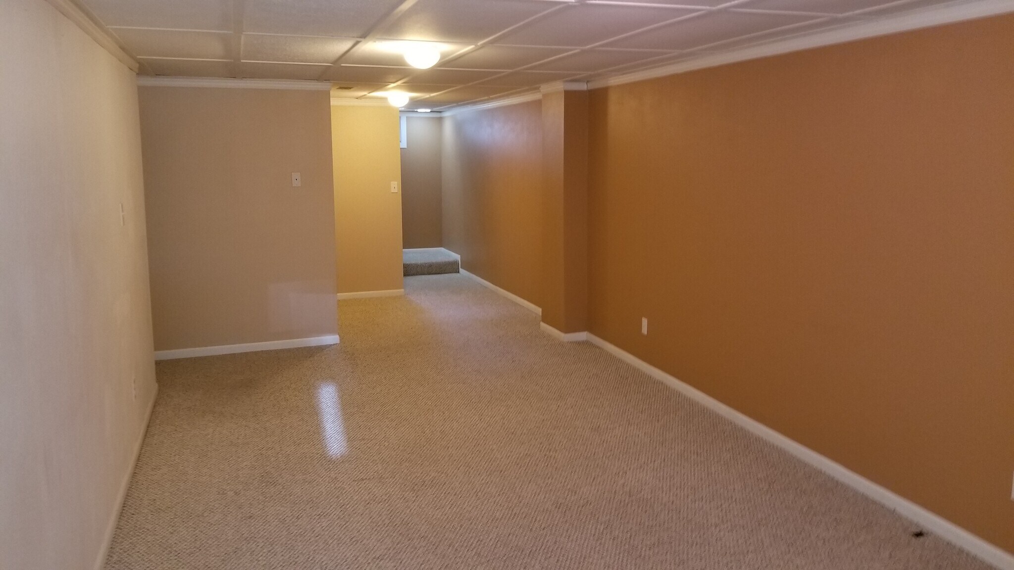 Basement Family Room. New paint coming during turnover. - 719 34th St