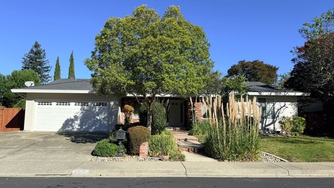 Primary Photo - NEWLY RENOVATED- 4BD/2BA, Single-Family Home in Twin Creeks Area of San Ramon- Available NOW!