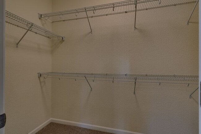 Building Photo - 3071 Tedesco Ct