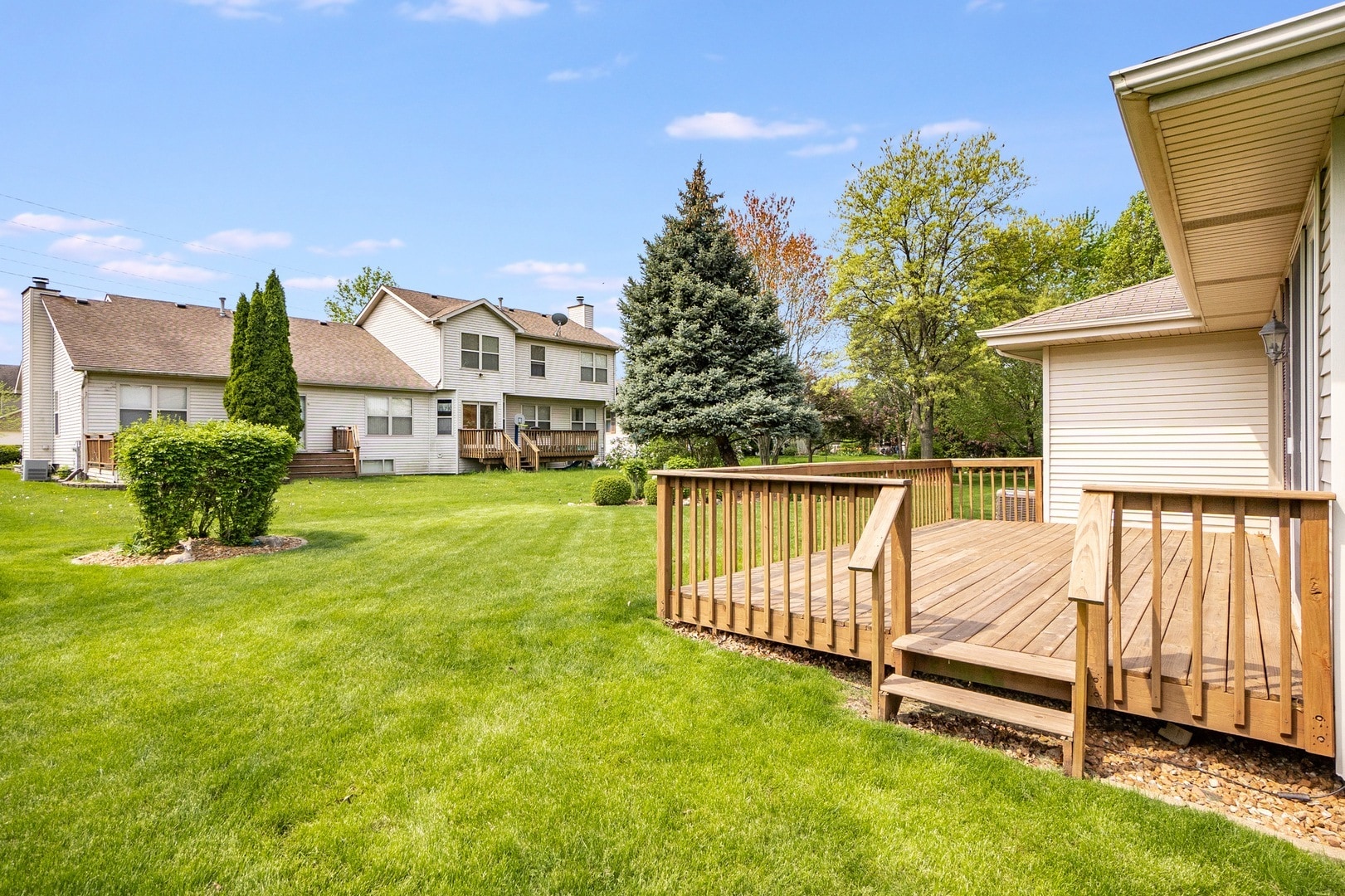 Back Yard - 22943 Bussey Dr