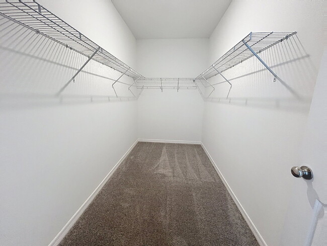 Building Photo - Beautiful New Townhome in The Townes at Cross Creek | New Tampa!
