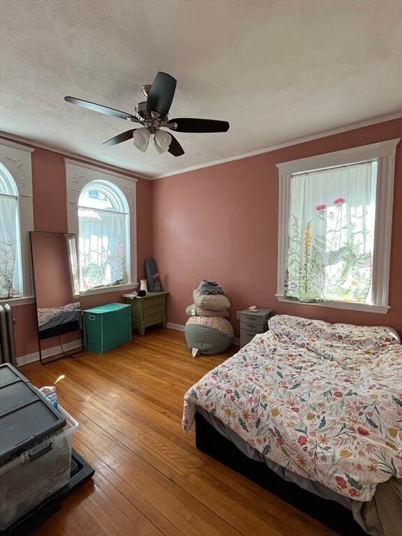 Building Photo - 15 Bellvista Rd