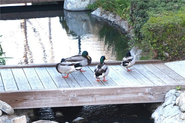 Building Photo - 16521 Grunion Ln