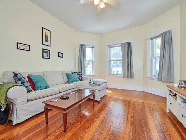 Primary Photo - 48 Wordsworth St