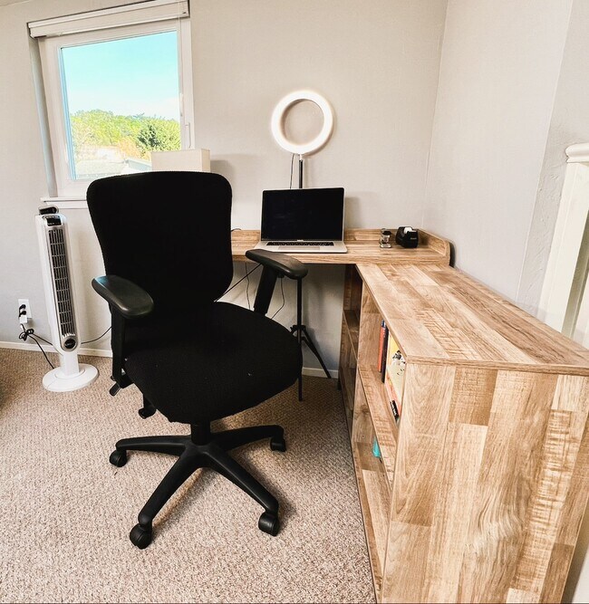 Building Photo - 1990 Dolphin Dr