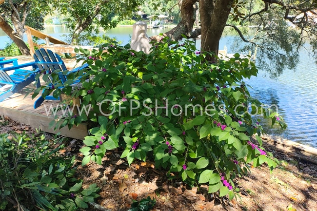 Building Photo - Bayou-Front Home w/ Dock