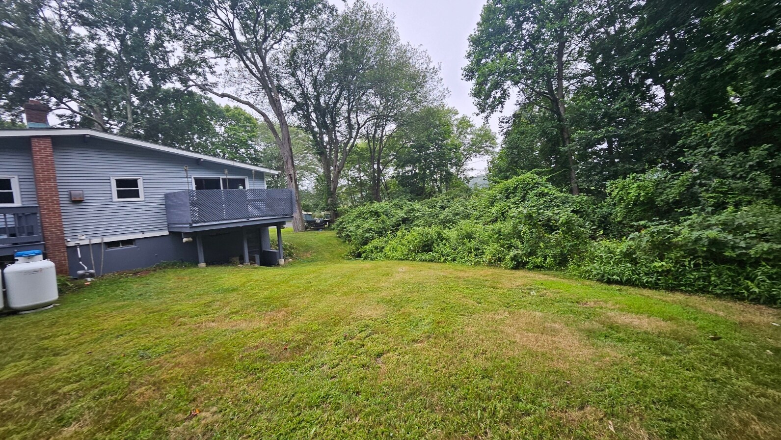 Back of House - 5 Tudor Ct W