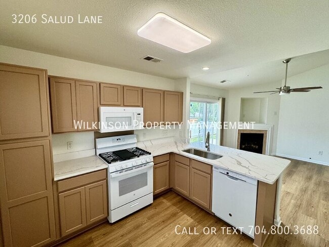 Building Photo - 3206 Salud Ln