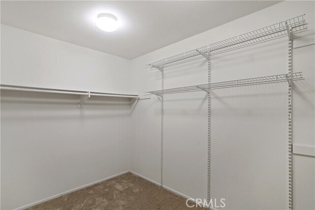 Building Photo - 1472 Pinewood Dr