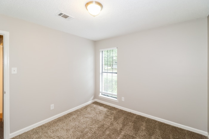 Building Photo - 3016 Shade Tree Cove