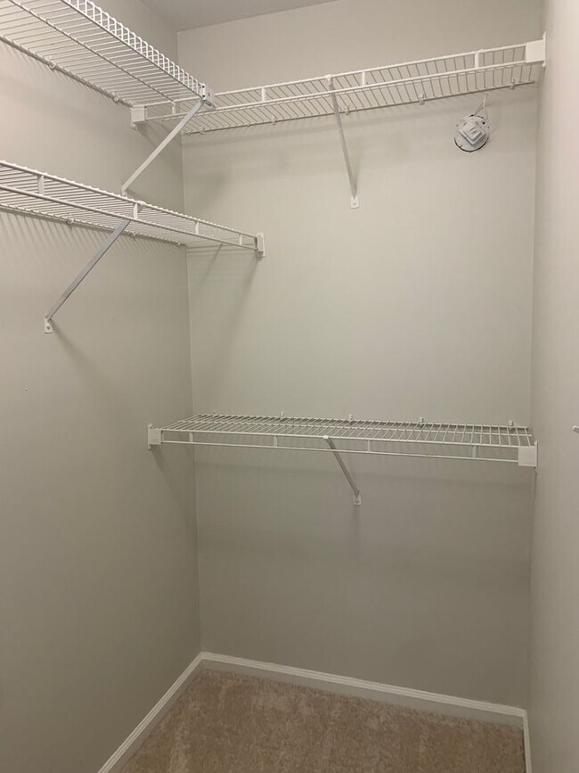 Building Photo - Updated 3 Bedroom in Adams Farm