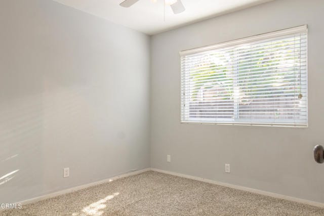 Building Photo - 5801 Firebird Ct